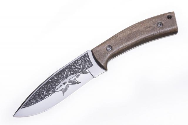 akula2_1