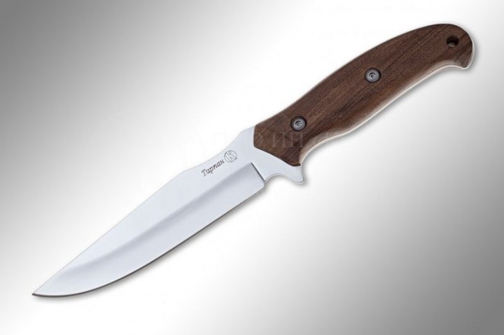 Tarpan